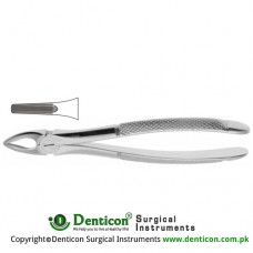English Pattern Tooth Extracting Forcep Fig. 29S (For Upper Roots; Small Beaks) Stainless Steel, Standard